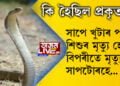 বিস্ময়কৰ! সাপে খুটাৰ পাছত শিশুৰ মৃত্যু হোৱাৰ বিপৰীতে মৃত্যু হ’ল সাপটোৰহে, কি হৈছিল প্ৰকৃততে?