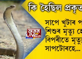 বিস্ময়কৰ! সাপে খুটাৰ পাছত শিশুৰ মৃত্যু হোৱাৰ বিপৰীতে মৃত্যু হ’ল সাপটোৰহে, কি হৈছিল প্ৰকৃততে?