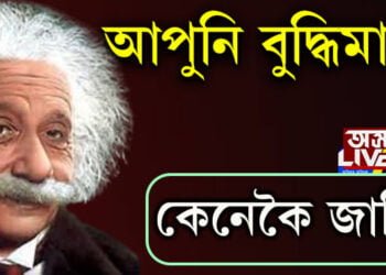 আপুনিও আইনষ্টাইনৰ দৰে বুদ্ধিমান নেকি? কেনেকৈ বুজিব? সবিশেষ…