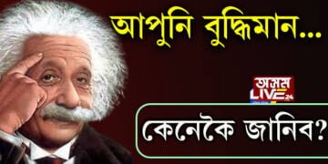 আপুনিও আইনষ্টাইনৰ দৰে বুদ্ধিমান নেকি? কেনেকৈ বুজিব? সবিশেষ…