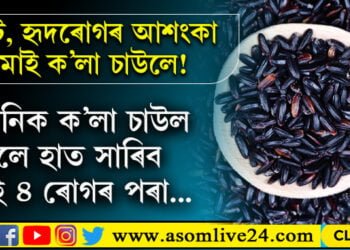 কৰ্কট, হাৰ্টৰ অসুখকে ধৰি এই চাৰিটা ৰোগৰ পৰা ৰক্ষা পাবলৈ ক’লা চাউলক খাদ্য তালিকাত দৈনিক ৰাখিবই…