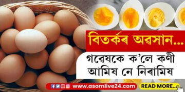 কণী আমিষ নে নিৰামিষ? এজন সুস্থ-সৱল ব্যক্তিয়ে এদিনত কেইটাকৈ কণী খোৱাটো স্বাস্থ্যসন্মত?