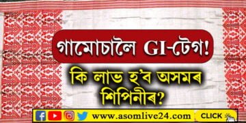 চেনেহৰ দীঘ আৰ হেপাঁহৰ বাণীৰে বোৱা গামোচালৈ GI-টেগ, GI-টেগ পাবলৈ কি কি বিশেষত্ব থকাৰ প্ৰয়োজন? সবিশেষ…