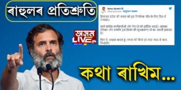 ‘কথা ৰাখিম, আপোনালোকক ধন্যবাদ…’ টুইটযোগে হিমাচলবাসীক কি কি ক’লে কংগ্ৰেছৰ শীৰ্ষনেতৃত্বই?