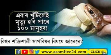 এবাৰ খুঁটিলেই মৃত্যু হ’ব পাৰে ১০০ মানুহৰ! বিশ্বৰ শক্তিশালী সাপবিধৰ বিষয়ে জানেনে?