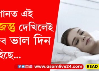 সপোনত হাতী, সাপ দেখে! নিচিন্ত থাকক এই ৫ জন্তু দেখিলেই খুলিব আপোনাৰ ভাগ্য…