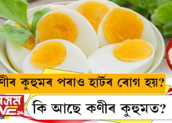কণীৰ কুহুমৰ পৰাও হাৰ্টৰ ৰোগ হয়? কি আছে কণীৰ কুহুমত?