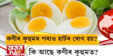 কণীৰ কুহুমৰ পৰাও হাৰ্টৰ ৰোগ হয়? কি আছে কণীৰ কুহুমত?
