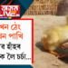 চাৰিখন ঠেং, চাৰিখন পাখি! আজৱ হাঁহৰ পোৱালিক লৈ চৰ্চা…