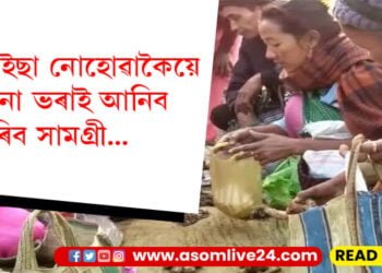 এপইছা নোহোৱাকৈয়ে মোনা ভৰাই আনিব পাৰিব সামগ্ৰী, কিন্তু কেনেকৈ?