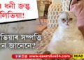 বিশ্বৰ ধনী জন্তুৰ তালিকাত আছে টেলৰ ছুইফটৰ মেকুৰী! কিমান ধনী অলিভিয়া?