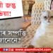 বিশ্বৰ ধনী জন্তুৰ তালিকাত আছে টেলৰ ছুইফটৰ মেকুৰী! কিমান ধনী অলিভিয়া?