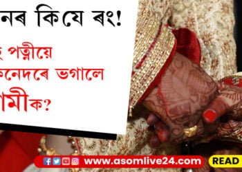 জীৱনৰ কি যে ৰং! দুই পত্নীয়ে ভগালে স্বামীক তাৰপিছত?