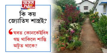 ঘৰত কোনকেইবিধ গছ থাকিলে শান্তি অটুত থাকে? কি কয় জ্যোতিষ শাস্ত্ৰই?