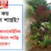 ঘৰত কোনকেইবিধ গছ থাকিলে শান্তি অটুত থাকে? কি কয় জ্যোতিষ শাস্ত্ৰই?