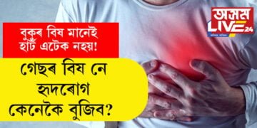বুকুৰ বিষ মানেই হাৰ্ট এটেক নহয়! গেছৰ বিষ নে হৃদৰোগ কেনেকৈ বুজিব?