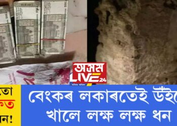 বেংকতো সুৰক্ষিত নহয় ধন! বেংকৰ লকাৰতেই উঁইয়ে খালে লক্ষ লক্ষ ধন