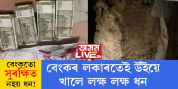 বেংকতো সুৰক্ষিত নহয় ধন! বেংকৰ লকাৰতেই উঁইয়ে খালে লক্ষ লক্ষ ধন