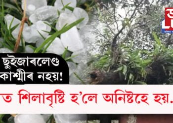অসম ছুইজাৰলেণ্ড নতুবা কাশ্মীৰ নহয়! অসমত শিলাবৃষ্টি হ’লে অনিষ্টহে হয়…