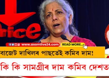 বাজেটত দাখিলৰ পাছতেই কমিব দাম! কি কি সামগ্ৰীৰ দাম কমিব দেশত?