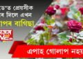 এপাহ গোলাপ নহয়! ৰ’জ ডে’ত প্ৰেয়সীক উপহাৰ দিলে এখন গোলাপৰ বাগিছা