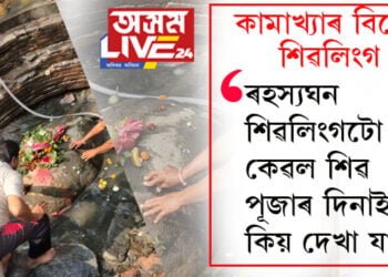 কামাখ্যা দেৱালয়ৰ ভিতৰত থকা এই শিৱলিংগৰ বিষয়ে জানেনে? ৰহস্যঘন শিৱলিংগটো কেৱল শিৱ পূজাৰ দিনাই কিয় দেখা যায়?