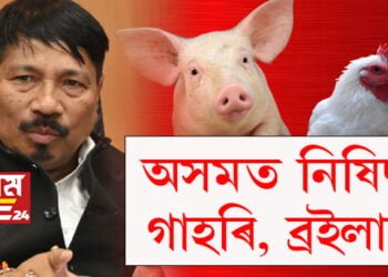 গাহৰি প্ৰেমীলৈ দুঃখবৰ! অসমত নিষিদ্ধ হ’ল বহিঃৰাজ্যৰ গাহৰি আৰু ব্ৰইলাৰ