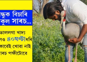 ৪০ ঘণ্টা ধৰি একোৱেই কোৱা নাই সাৰচ পক্ষীটোৱে, মানুহ দেখিলেই বন্ধু আৰিফৰ বিচাৰি ব্যাকুল হৈ পৰিছে সাৰচ পক্ষীটো…