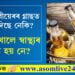 গৰমৰ প্ৰকোপ বাঢ়িছে, বীয়েৰৰ গ্লাছত চুমুক দিছে নেকি? বীয়েৰ খালে স্বাস্থ্যৰ উন্নতি হয় নে?