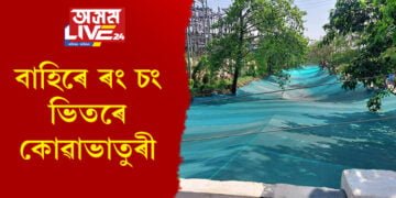 বাহিৰে ৰং চং ভিতৰে কোৱাভাতুৰী…প্ৰমাণ চাওক, ধুনীয়া সেউজীয়াৰে ঢকা ভৰলু নদী