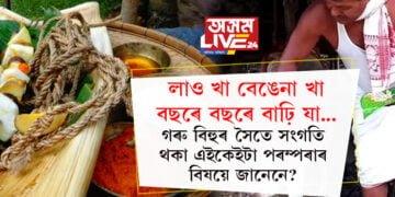 লাও খা বেঙেনা খা বছৰে বছৰে বাঢ়ি যা, আজি গৰু বিহু, গৰু বিহুৰ সৈতে সংগতি থকা এইকেইটা পৰম্পৰাৰ বিষয়ে জানেনে?