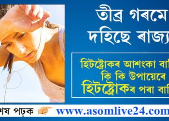 তীব্ৰ গৰমে দহিছে ৰাজ্য! হিটষ্ট্ৰোকৰ আশংকা বাঢ়িছে, কি কি উপায়েৰে হিটষ্ট্ৰোকৰ পৰা বাচিব?