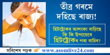 তীব্ৰ গৰমে দহিছে ৰাজ্য! হিটষ্ট্ৰোকৰ আশংকা বাঢ়িছে, কি কি উপায়েৰে হিটষ্ট্ৰোকৰ পৰা বাচিব?