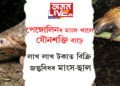 যৌনশক্তি বঢ়াবলৈকে চিকাৰ কৰিছে পেঙ্গোলিন! লাখ লাখ টকাত বিক্ৰি হৈছে জন্তুবিধৰ মাংস আৰু ছাল