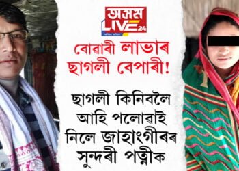 বোৱাৰী লাভাৰ ছাগলী বেপাৰী! ছাগলী কিনিবলৈ আহি পলোৱাই নিলে জাহাংগীৰৰ সুন্দৰী পত্নীক