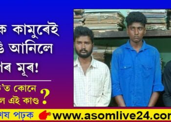 একে কামুৰেই চিঙি আনিলে সাপৰ মূৰ! অন কেমেৰা এই কাণ্ড কৰি গ্ৰেপ্তাৰ তিনি যুৱক