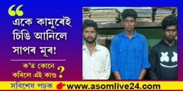 একে কামুৰেই চিঙি আনিলে সাপৰ মূৰ! অন কেমেৰা এই কাণ্ড কৰি গ্ৰেপ্তাৰ তিনি যুৱক