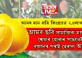 আমৰ দাম প্ৰতি কিঃগ্ৰাঃত ২.৫লাখ টকা! বিৰল আমৰ ছবি সামাজিক মাধ্যমত শ্বেয়াৰ হোৱাৰ পাছতেই বাগানৰ পৰাই হেৰাই গ’ল আম