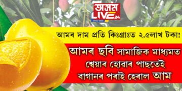 আমৰ দাম প্ৰতি কিঃগ্ৰাঃত ২.৫লাখ টকা! বিৰল আমৰ ছবি সামাজিক মাধ্যমত শ্বেয়াৰ হোৱাৰ পাছতেই বাগানৰ পৰাই হেৰাই গ’ল আম