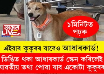 এইবাৰ কুকুৰৰ বাবেও আধাৰকাৰ্ড! ডিঙিত থকা আধাৰকাৰ্ড স্কেন কৰিলেই যাৱতীয় তথ্য পোৱা যাব একোটা কুকুৰৰ