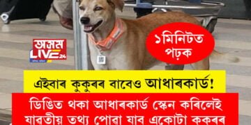 এইবাৰ কুকুৰৰ বাবেও আধাৰকাৰ্ড! ডিঙিত থকা আধাৰকাৰ্ড স্কেন কৰিলেই যাৱতীয় তথ্য পোৱা যাব একোটা কুকুৰৰ