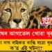 বাঘৰ আগতেল খোৱা যুৱক! চিতা বাঘ বাইকত বান্ধি যাত্ৰা যুৱকৰ, ক’ত এই ঘটনা?