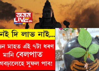 শাওন মাহত এই ৭টা ধৰণ মানি বেলপাত আগবঢ়ালেহে সুফল পাব! নিয়ম নমনাকৈ বেলপাত অৰ্পণ কৰিলে কোনো লাভালাভ আপুনি নাপাব