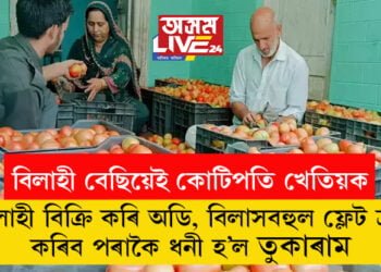 নাঙলৰ মুঠিতেই সাহ! বিলাহী বিক্ৰি কৰি অডি, বিলাসবহুল ফ্লেট ক্ৰয় কৰিব পৰাকৈ ধনী হ’ল মহাৰাষ্ট্ৰৰ তুকাৰাম