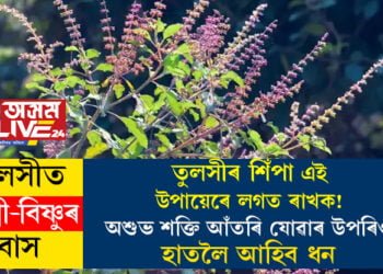 তুলসীৰ শিঁপা এই উপায়েৰে লগত ৰাখক! অশুভ শক্তি আঁতৰি যোৱাৰ উপৰিও হাতলৈ আহিব ধন