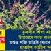 তুলসীৰ শিঁপা এই উপায়েৰে লগত ৰাখক! অশুভ শক্তি আঁতৰি যোৱাৰ উপৰিও হাতলৈ আহিব ধন