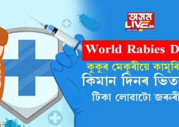 World Rabies Day- কুকুৰ মেকুৰীয়ে কামূৰিলে কিমান দিনৰ ভিতৰত টিকা লোৱাটো জৰুৰী? জানি থওক এই নিয়ম