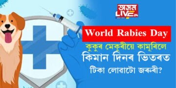 World Rabies Day- কুকুৰ মেকুৰীয়ে কামূৰিলে কিমান দিনৰ ভিতৰত টিকা লোৱাটো জৰুৰী? জানি থওক এই নিয়ম