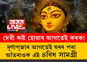 দুৰ্গাপূজাৰ আগতেই ঘৰৰ পৰা আঁতৰাওক এই ৪বিধ সামগ্ৰী, অন্যথা দেৱীৰ ৰোষত পৰিব আপুনি