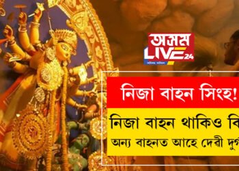 নিজা বাহন সিংহ! নিজা বাহন থকা স্বত্বেও কিয় প্ৰত্যেক বছৰেই দোলা, হাতী, ঘোঁৰা, নৌকাত আহে দেৱী দুৰ্গা?